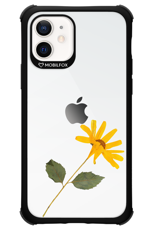 Pressed Flower - Apple iPhone 12