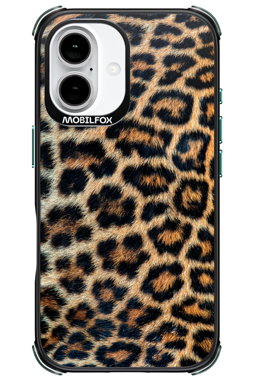 Leopard 2.0 - Apple iPhone 16