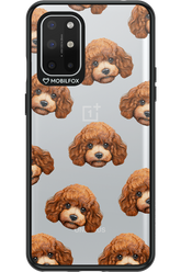 Puddle Amore 2.0 - OnePlus 8T