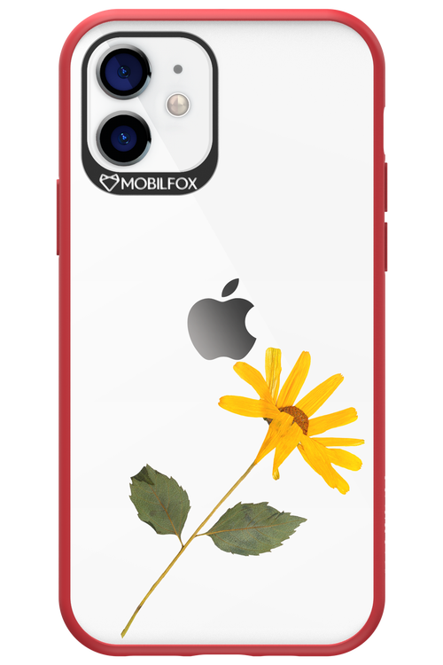 Pressed Flower - Apple iPhone 12