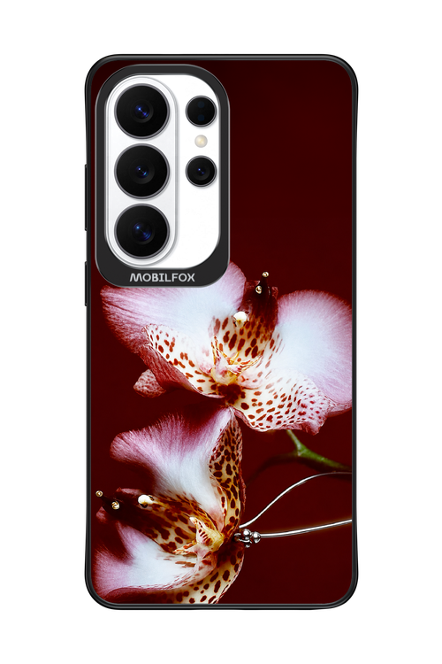 Leobloomy 2.0 - Samsung Galaxy S26 Ultra