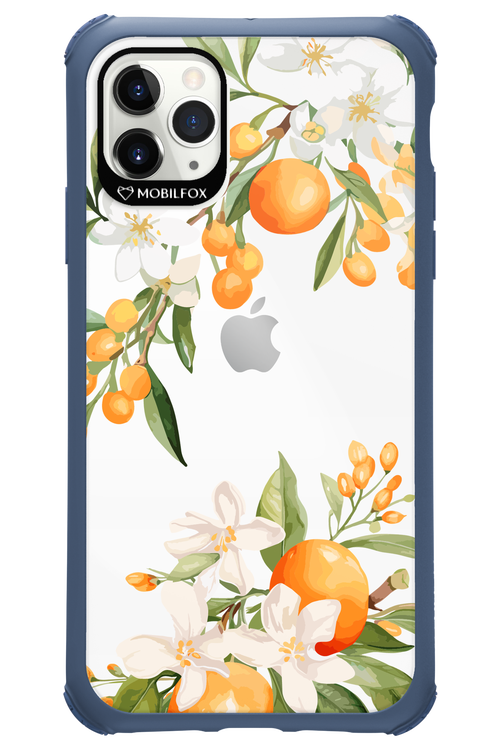 Amalfi Orange - Apple iPhone 11 Pro Max