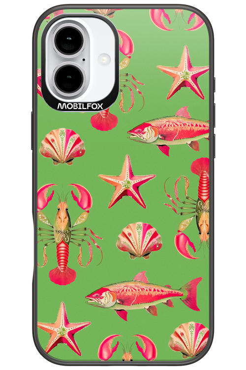 Sea Stars - Apple iPhone 16 Plus