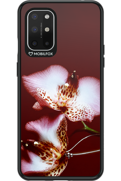 Leobloomy 2.0 - OnePlus 8T