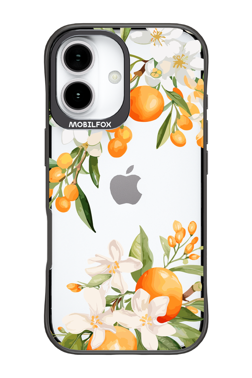 Amalfi Orange 2.0 - Apple iPhone 17