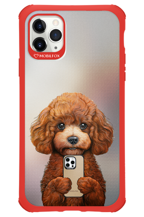 Dog x Fox - Apple iPhone 11 Pro Max