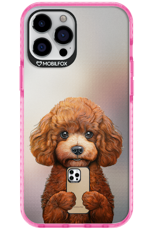 Dog x Fox 2.0 - Apple iPhone 12 Pro Max