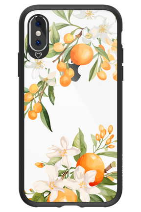Amalfi Orange 2.0 - Apple iPhone X