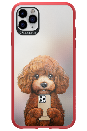 Dog x Fox - Apple iPhone 11 Pro Max