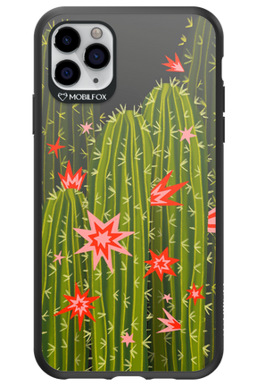 Cactus bloom 2.0 - Apple iPhone 11 Pro Max