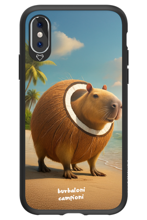 Burbaloni campioni - Apple iPhone XS