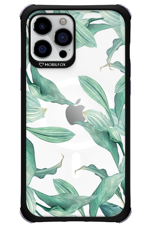 Greenpeace - Apple iPhone 12 Pro Max