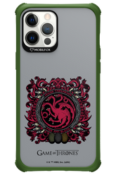 Fire and Blood. - Apple iPhone 12 Pro Max