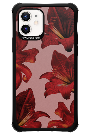 Amaryllis Mist - Apple iPhone 12
