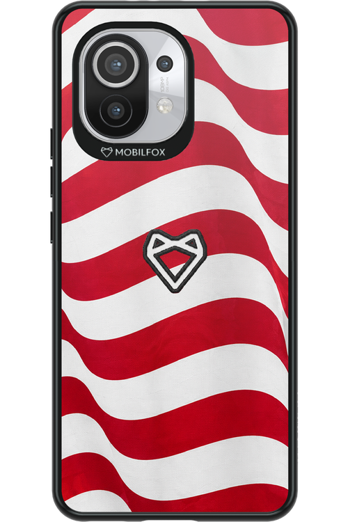 USA 2.0 - Xiaomi Mi 11 5G