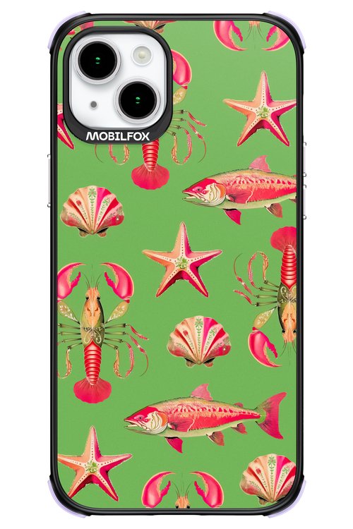 Sea Stars - Apple iPhone 15 Plus