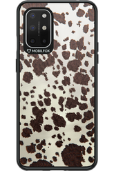 Appaloosa 2.0 - OnePlus 8T