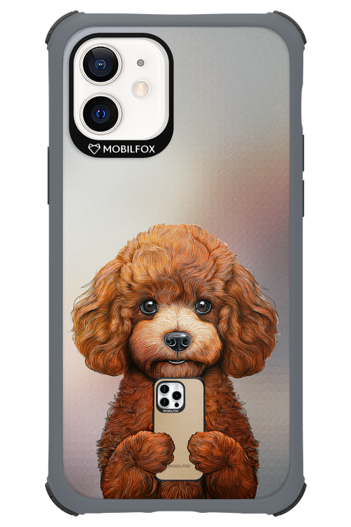 Dog x Fox - Apple iPhone 12