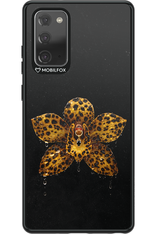 Wet & Wild 2.0 - Samsung Galaxy Note 20
