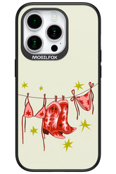 Laundry 2.0 - Apple iPhone 15 Pro