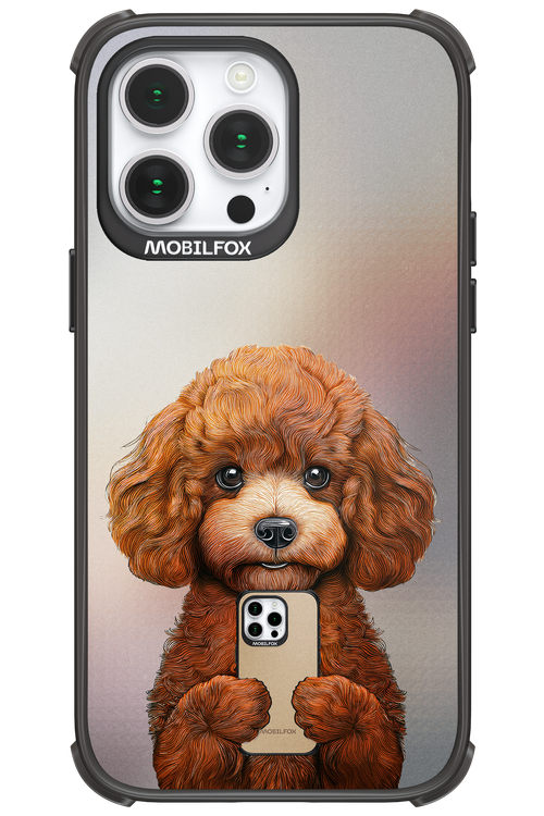 Dog x Fox - Apple iPhone 14 Pro Max