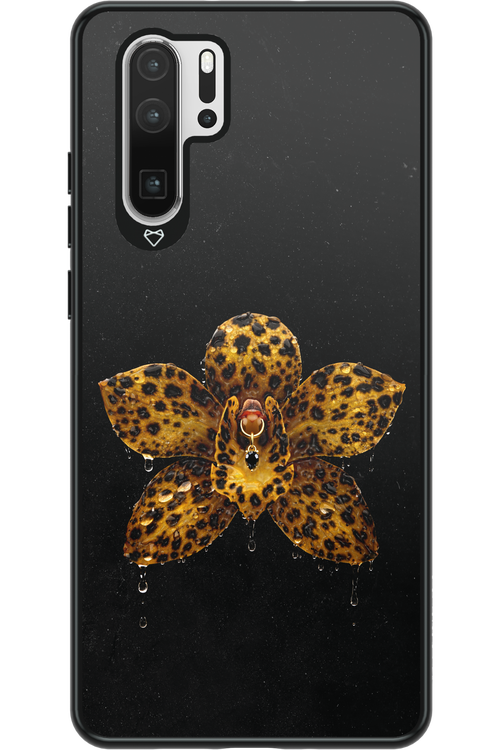 Wet & Wild 2.0 - Huawei P30 Pro