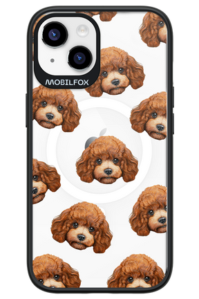 Puddle Amore - Apple iPhone 14