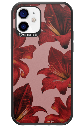 Amaryllis Mist - Apple iPhone 12