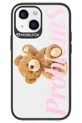Problems 2.0 - Apple iPhone 13 Mini