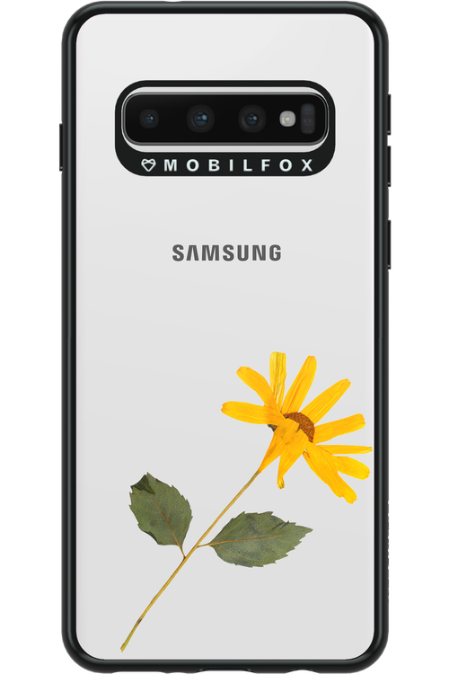 Pressed Flower - Samsung Galaxy S10