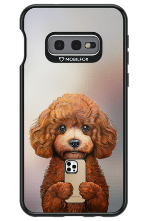 Dog x Fox - Samsung Galaxy S10e