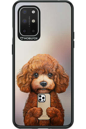 Dog x Fox - OnePlus 8T