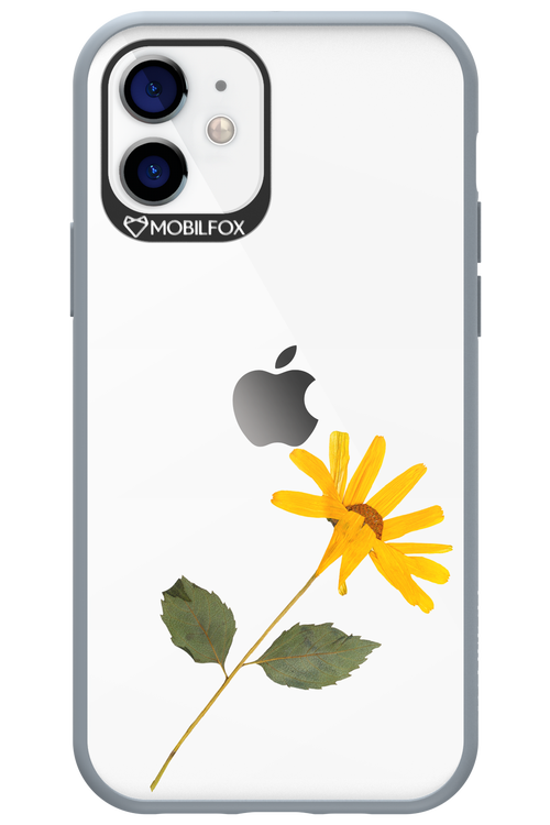 Pressed Flower - Apple iPhone 12