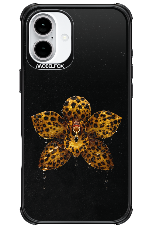 Wet & Wild 2.0 - Apple iPhone 16 Plus