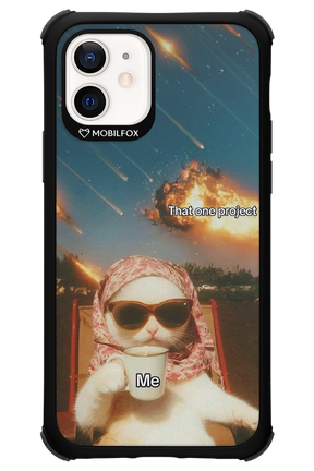 That one project - Apple iPhone 12