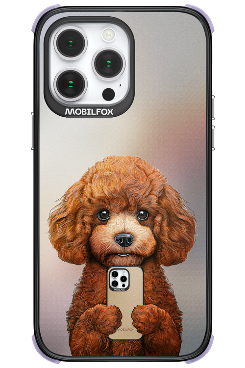 Dog x Fox - Apple iPhone 14 Pro Max