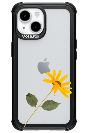 Pressed Flower - Apple iPhone 15