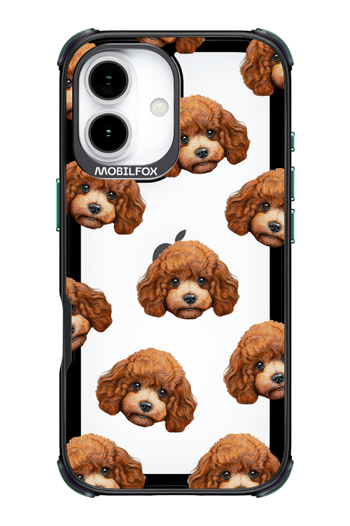 Puddle Amore 2.0 - Apple iPhone 17