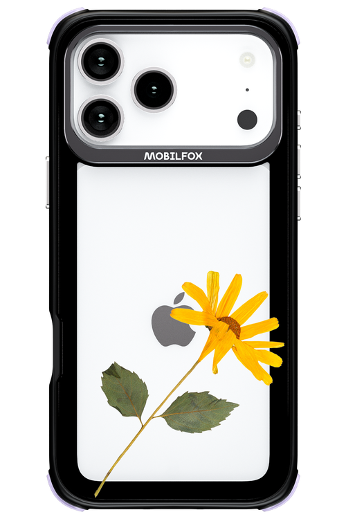 Pressed Flower - Apple iPhone 17 Pro Max