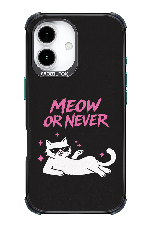 MEOW OR NEVER 2.0 - Apple iPhone 17