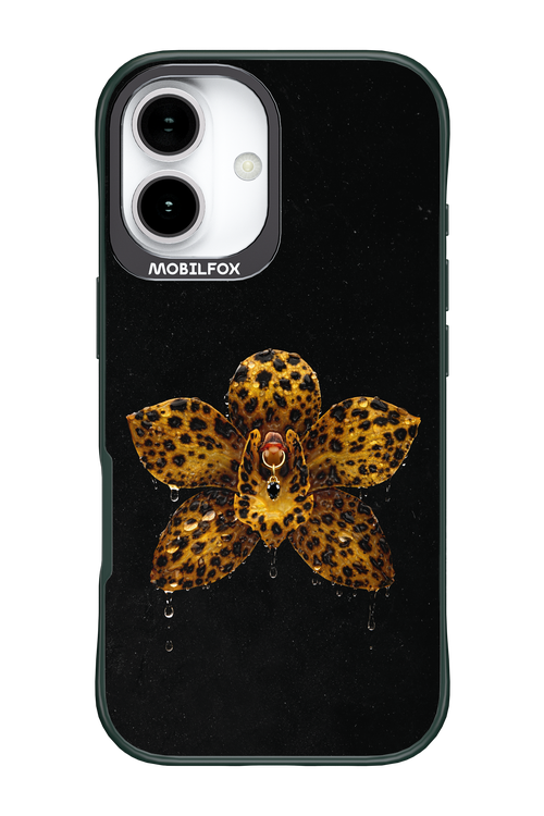 Wet & Wild 2.0 - Apple iPhone 17