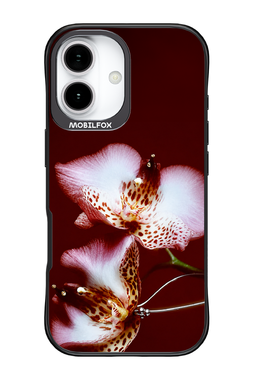 Leobloomy 2.0 - Apple iPhone 17