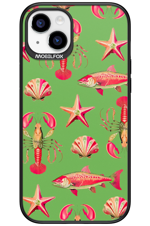 Sea Stars - Apple iPhone 15 Plus