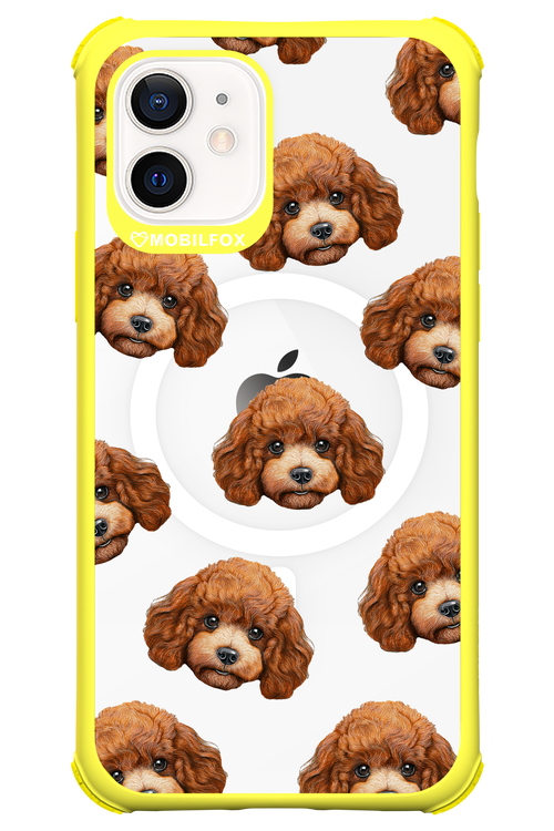 Puddle Amore 2.0 - Apple iPhone 12