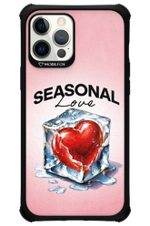 Seasonal Love 2.0 - Apple iPhone 12 Pro Max