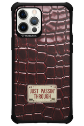 Just passin through 2.0 - Apple iPhone 12 Pro Max