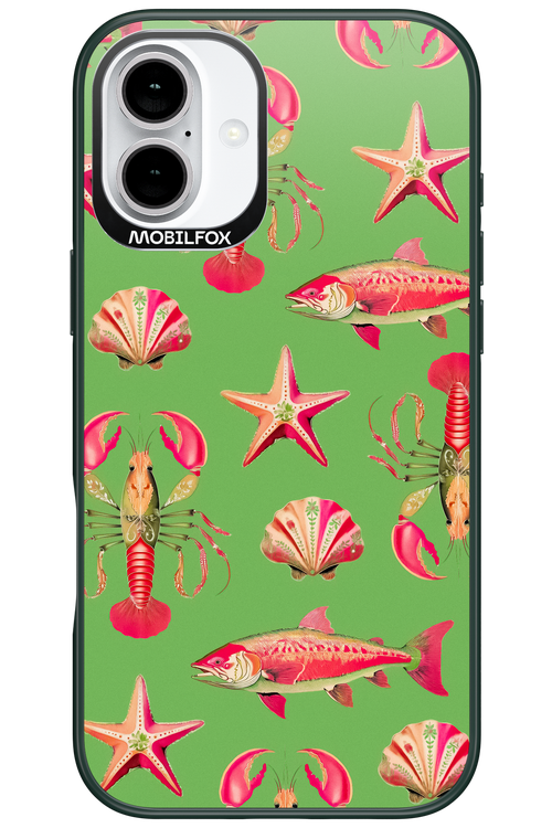Sea Stars - Apple iPhone 16 Plus
