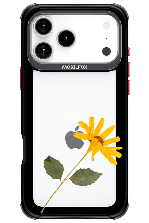 Pressed Flower - Apple iPhone 17 Pro Max