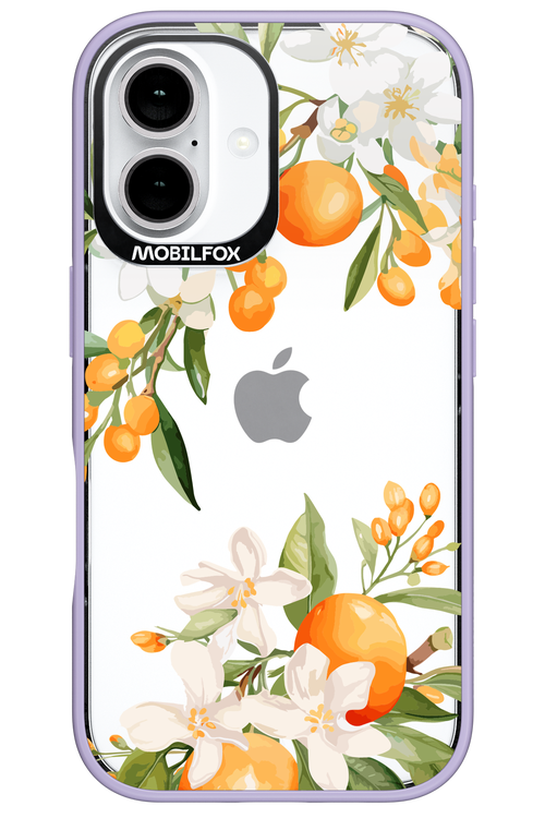 Amalfi Orange - Apple iPhone 16