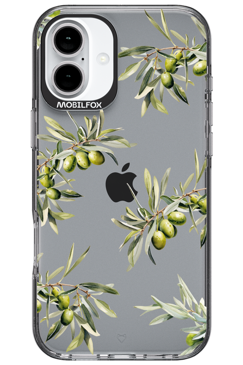 Olive Tree - Apple iPhone 16 Plus